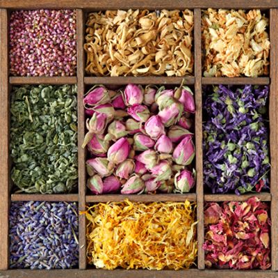 Persian Potherbs & Medicinal Plants
